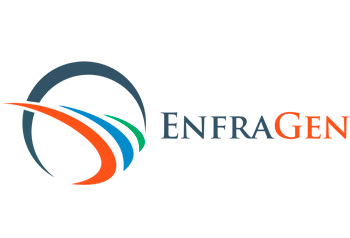 Enfragen